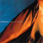 Coldcut - Autumn Leaves